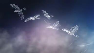 精致唯美白色飞鸟成群粒子盘旋展示AE模板视频的预览图